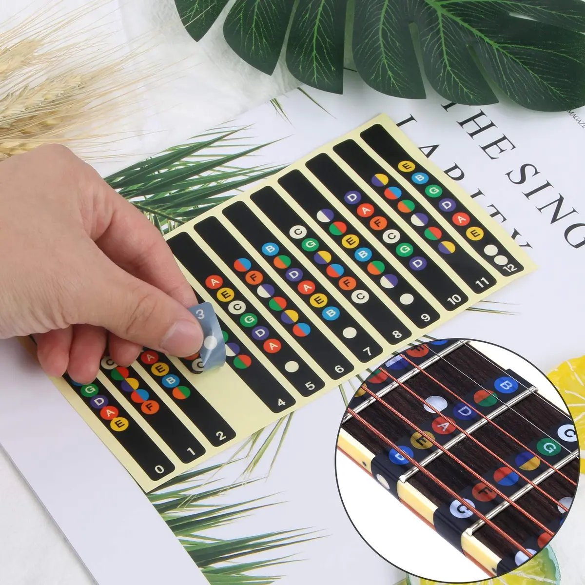 AUGSUN Guitar Fretboard Stickers with 10 Picks | Beginner Learning Tool (2-Pack) - view 4
