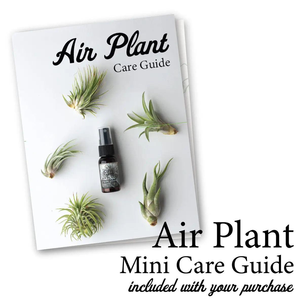 Cute Farms Air Plant Fertilizer Spray 118ml (4 fl oz) | Gentle Weekly Formula for Tillandsia - view 3