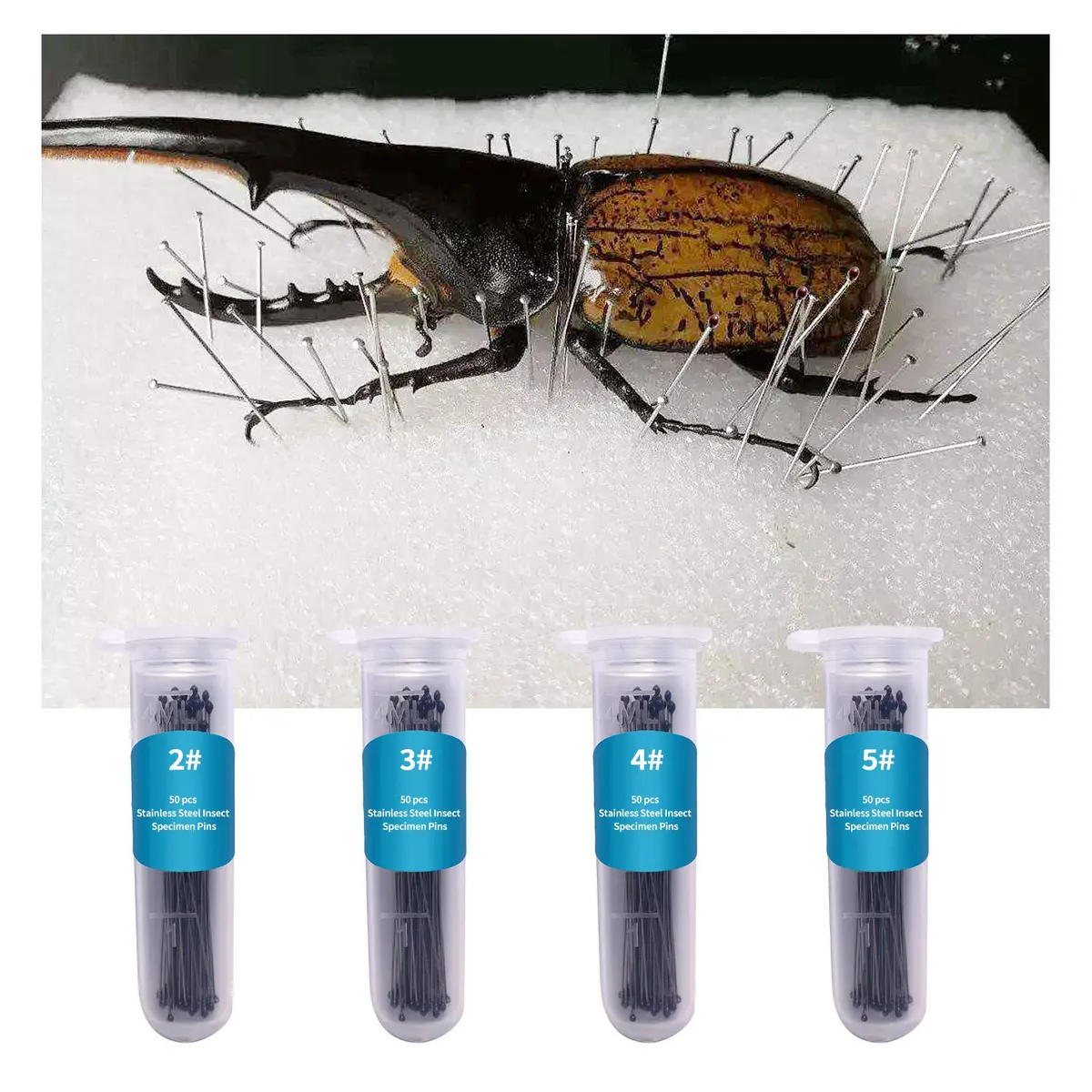 Fpxnb Stainless Steel Insect Pins 350 Pcs (40mm Length, 0.27-0.71mm Diameter) | Entomology Specimen Needles - view 7