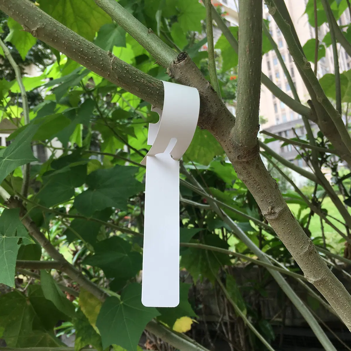 MIHEY White Plastic Plant Tags with Marker Pen, 20cm (7.87 inch) - 200 Pcs | Durable & UV Resistant - view 5