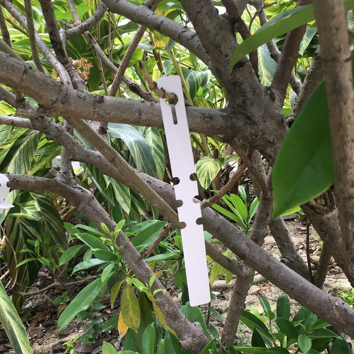 MIHEY White Plastic Plant Tags with Marker Pen, 20cm (7.87 inch) - 200 Pcs | Durable & UV Resistant - view 6