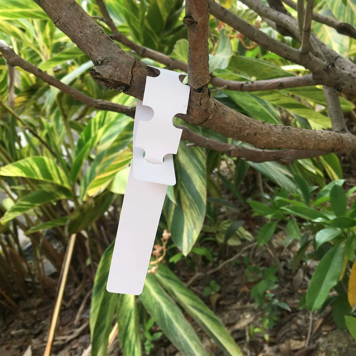 MIHEY White Plastic Plant Tags with Marker Pen, 20cm (7.87 inch) - 200 Pcs | Durable & UV Resistant - view 4