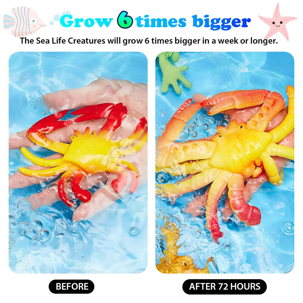 Outus Water Growing Toy Animal Sea Creatures | Realistic, Patience Training, Reusable Fun - view 5
