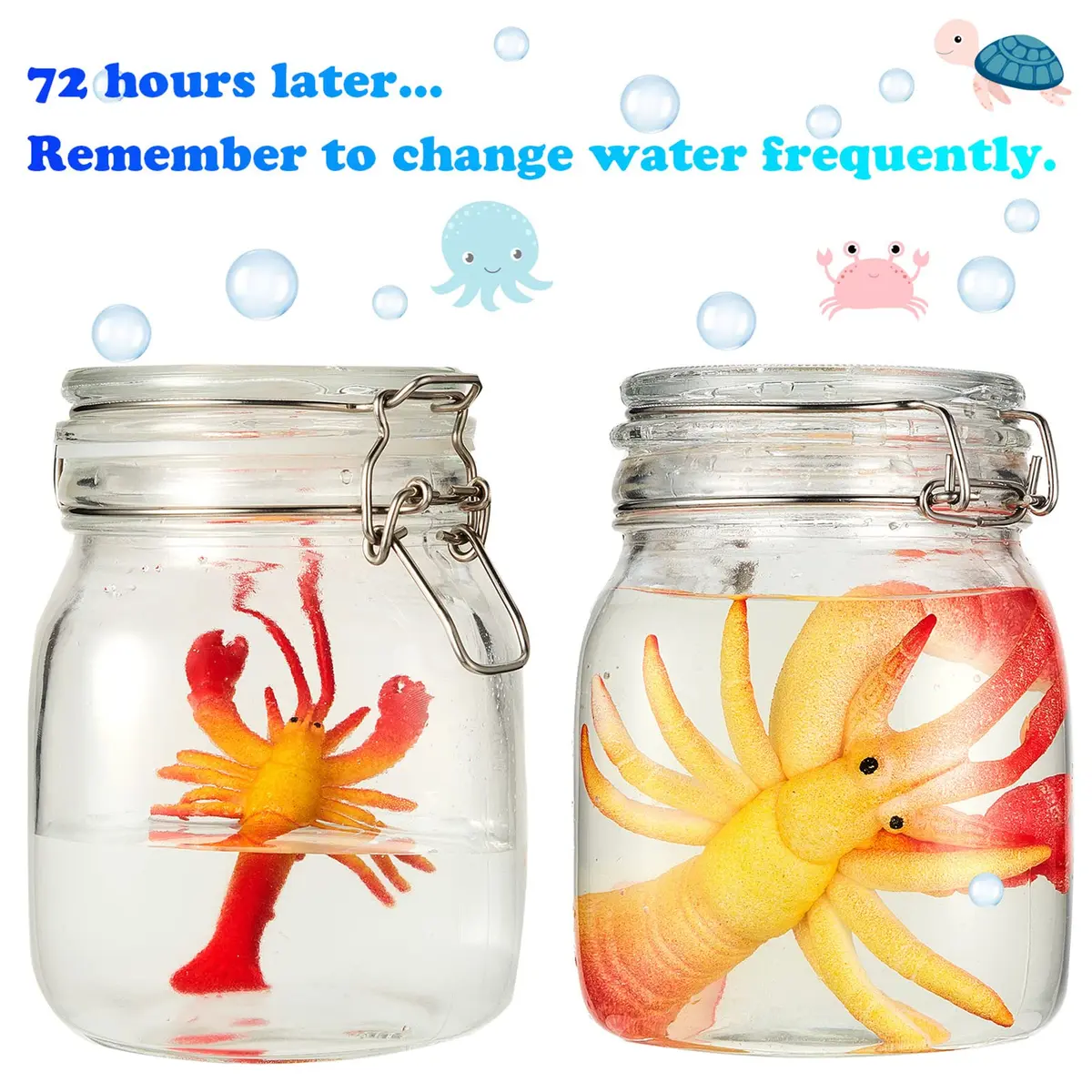 Outus Water Growing Toy Animal Sea Creatures | Realistic, Patience Training, Reusable Fun - view 6