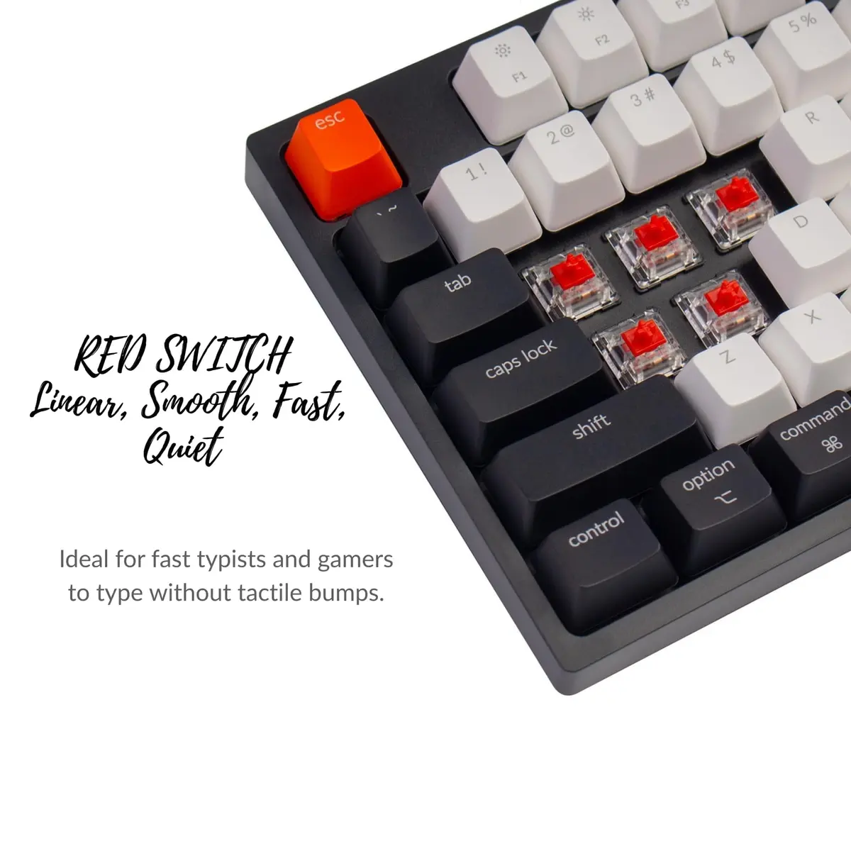 Keychron C1 Wired TKL Keyboard Gateron G Pro Red RGB Backlight | Mechanical, Compact, for Windows & Mac - view 7