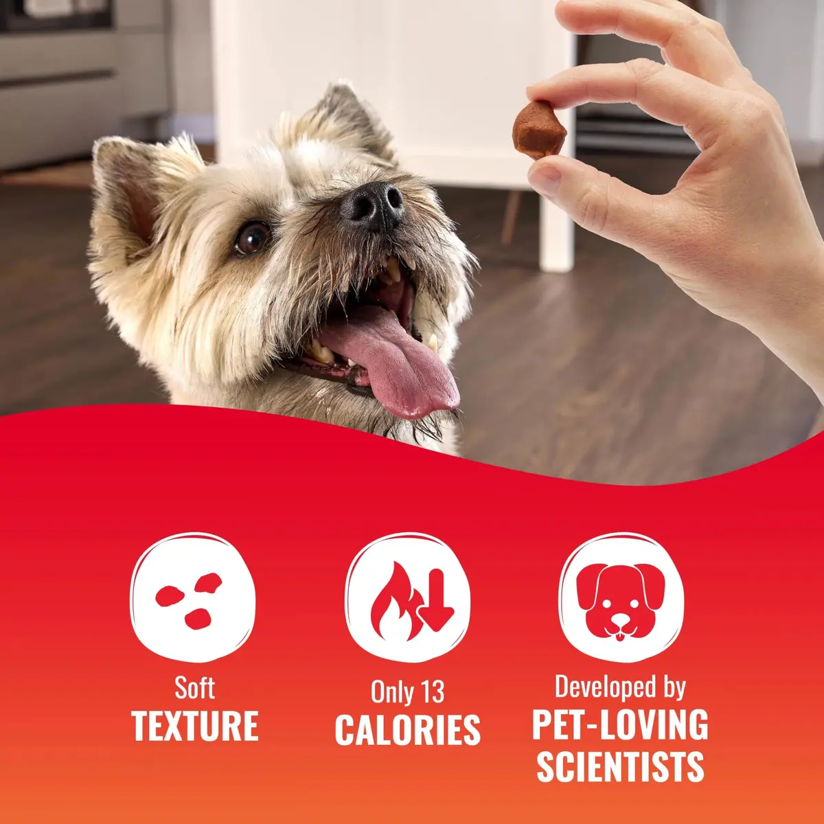 Good ‘N’ Tasty Kabob Bites Soft & Chewy Dog Treat, 4 oz (12 Pack) | Premium Chicken & Variety Flavors - view 8