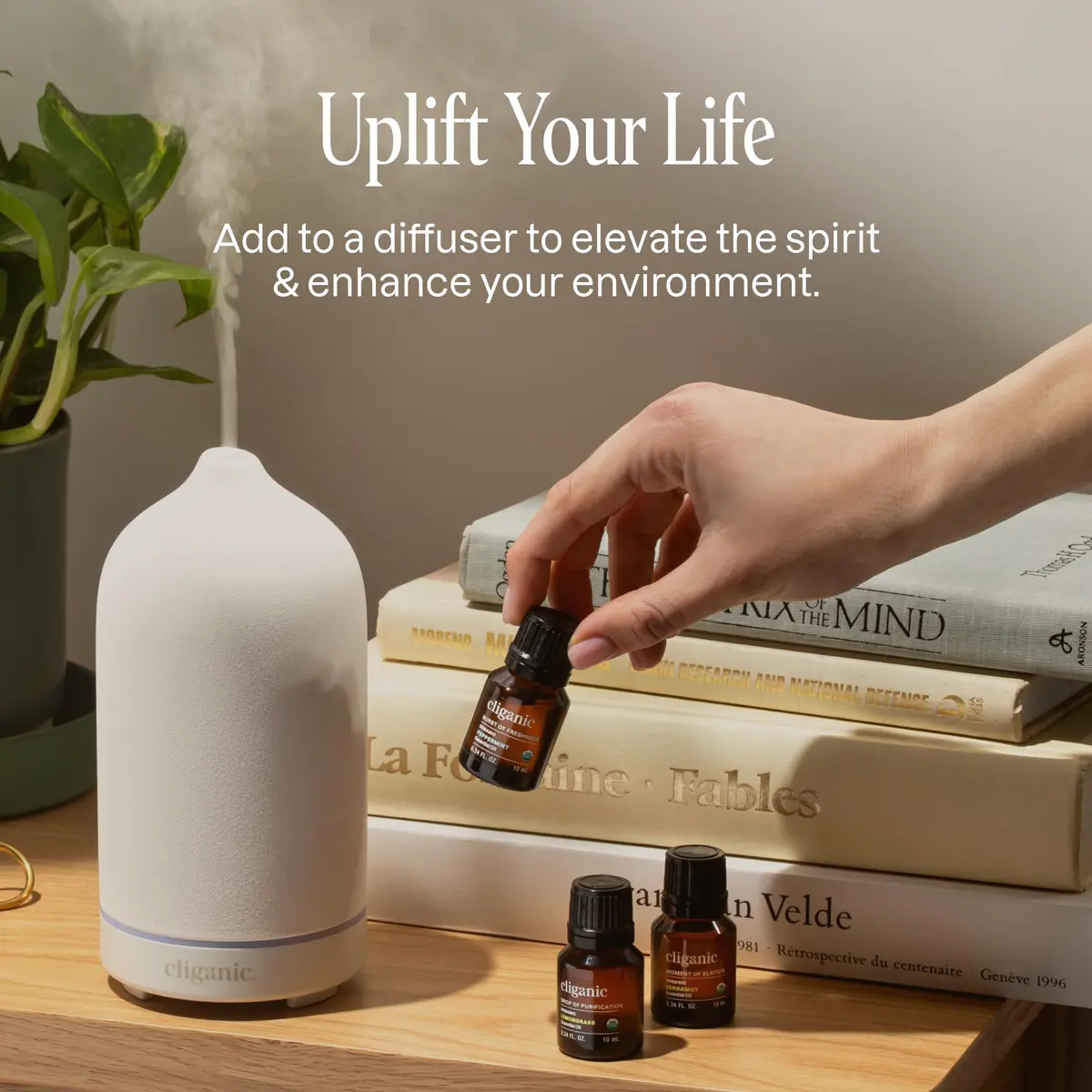 Cliganic Organic Essential Oils Set for Home Diffuser, 0.17 Fl Oz | USDA Certified, 100% Pure, Top 5 - view 8