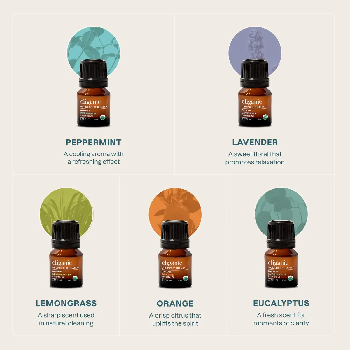 Cliganic Organic Essential Oils Set for Home Diffuser, 0.17 Fl Oz | USDA Certified, 100% Pure, Top 5 - view 3