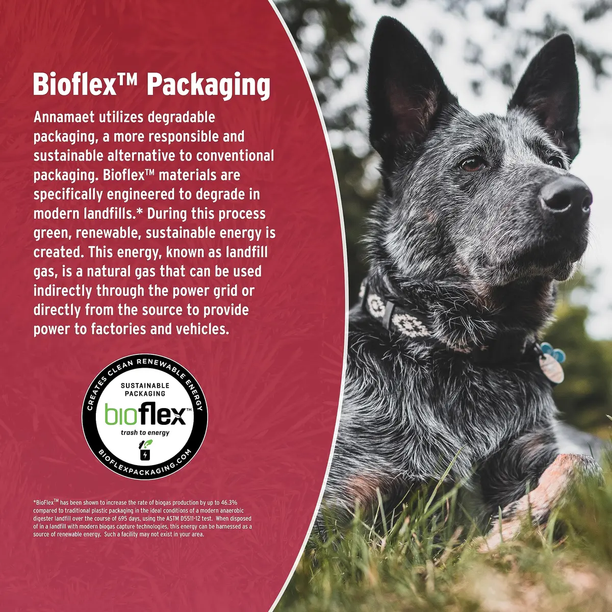 Annamaet Grain-Free Manitok Red Meat Formula Dry Dog Food, 25-lb Bag | Fresh Lamb, Grain-Free & Potato-Free - view 7