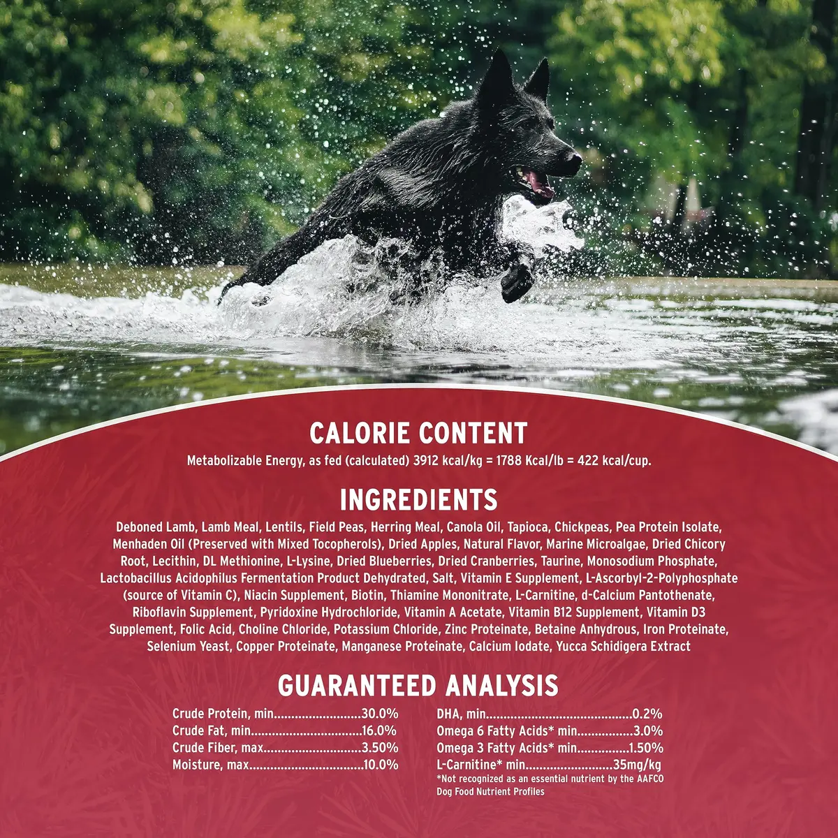 Annamaet Grain-Free Manitok Red Meat Formula Dry Dog Food, 25-lb Bag | Fresh Lamb, Grain-Free & Potato-Free - view 4