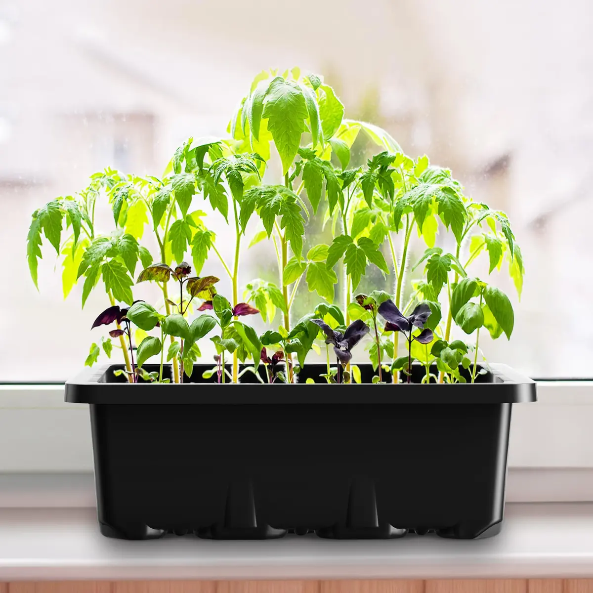 MIXC 10 Pack Seed Starter Tray with Humidity Dome & 120 Cells | 18.5cm x 12.2cm x 11.2cm (7.3" x 4.8" x 4.4") - view 7