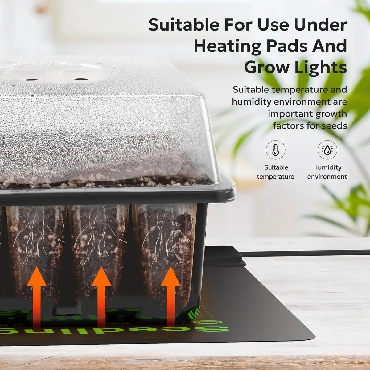 MIXC 10 Pack Seed Starter Tray with Humidity Dome & 120 Cells | 18.5cm x 12.2cm x 11.2cm (7.3" x 4.8" x 4.4") - view 2