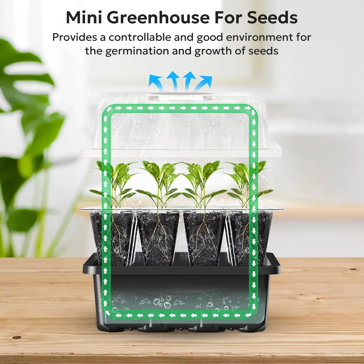 MIXC 10 Pack Seed Starter Tray with Humidity Dome & 120 Cells | 18.5cm x 12.2cm x 11.2cm (7.3" x 4.8" x 4.4") - view 4