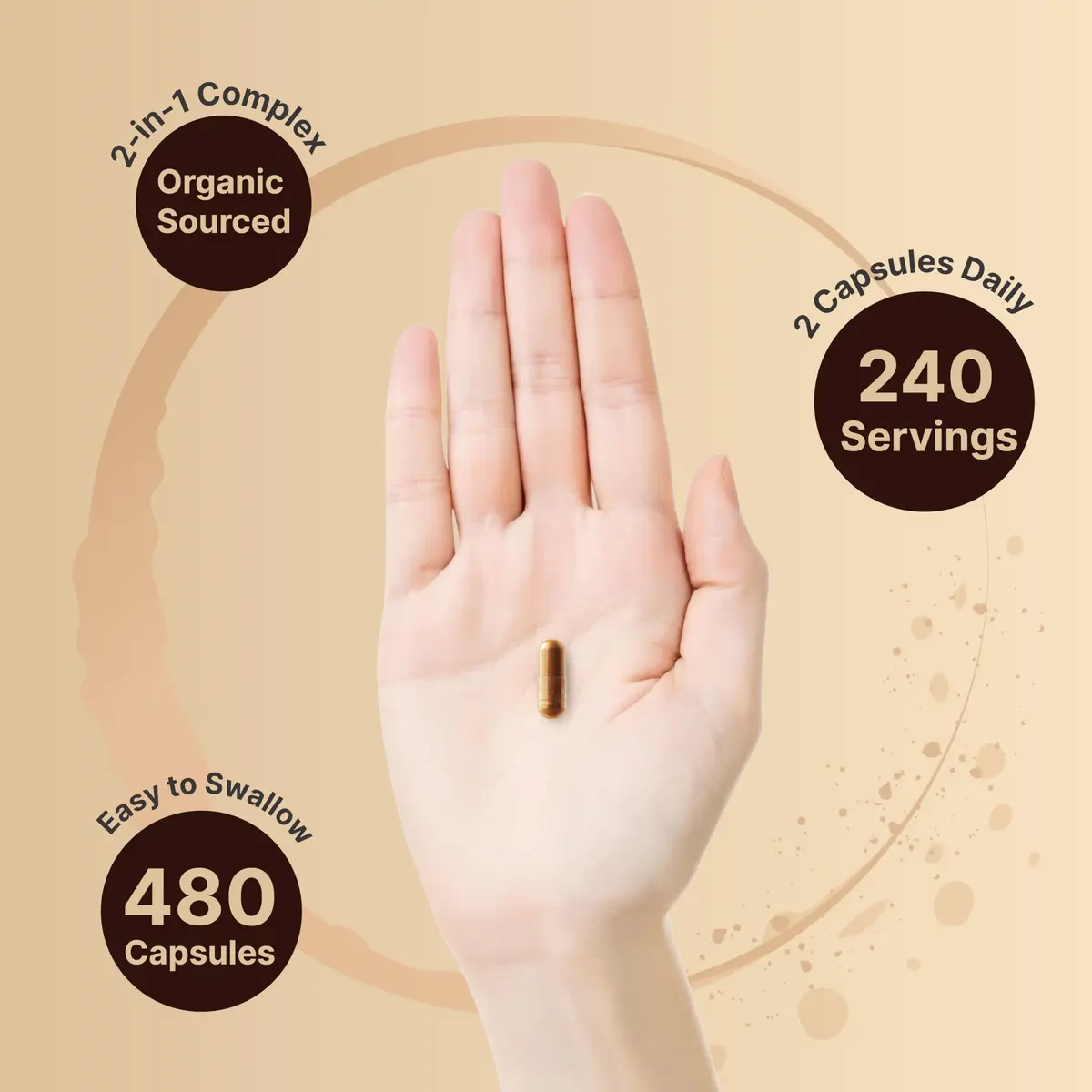 NatureBell 2 Pack Ceylon Cinnamon with Bitter Melon | Organic Sri Lanka & India Blend, 240 Capsules - view 4