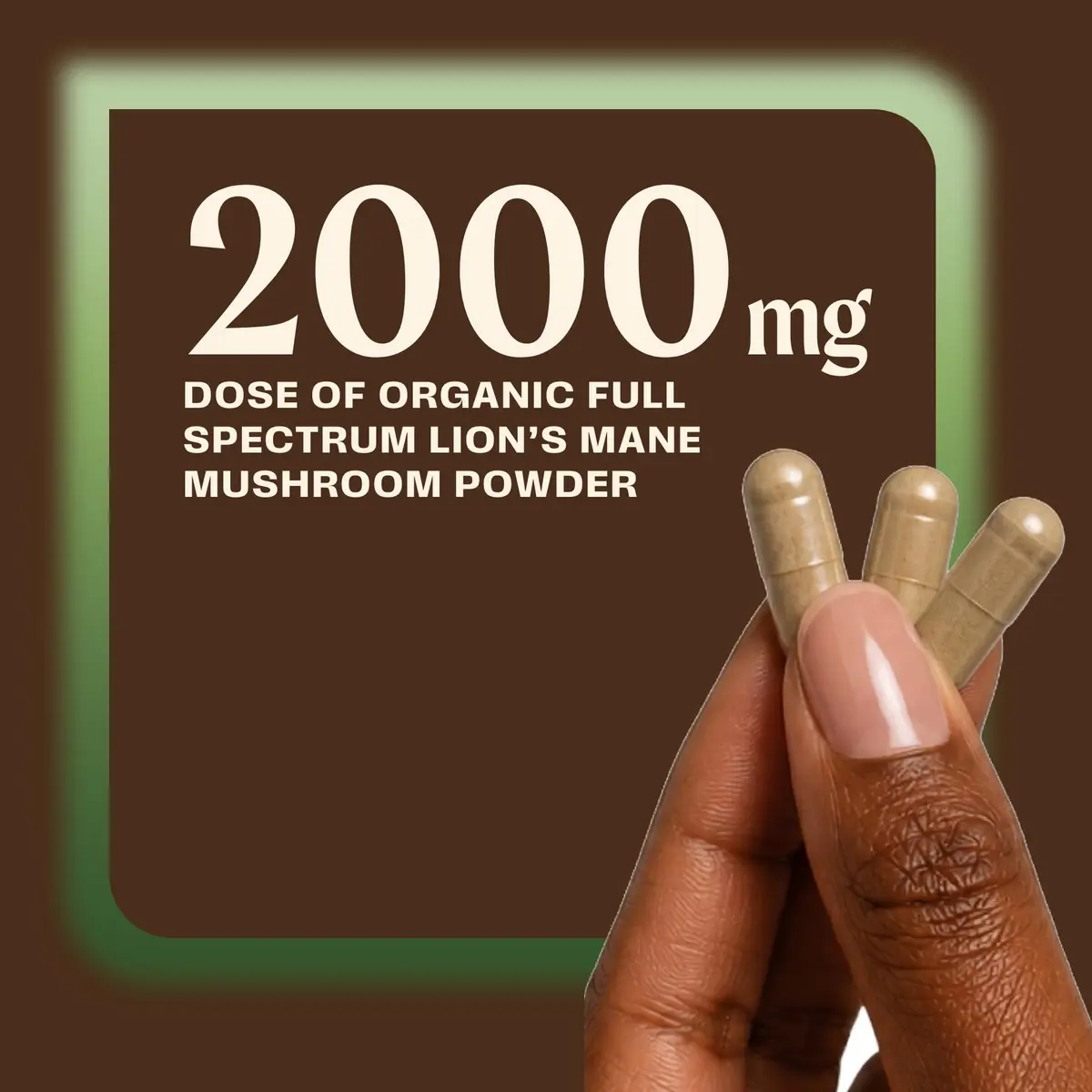 OM MUSHROOM SUPERFOOD Lion's Mane Mushroom Capsules - Organic Supplement for Memory & Focus, 180 Count (60 Servings) in India - view 5