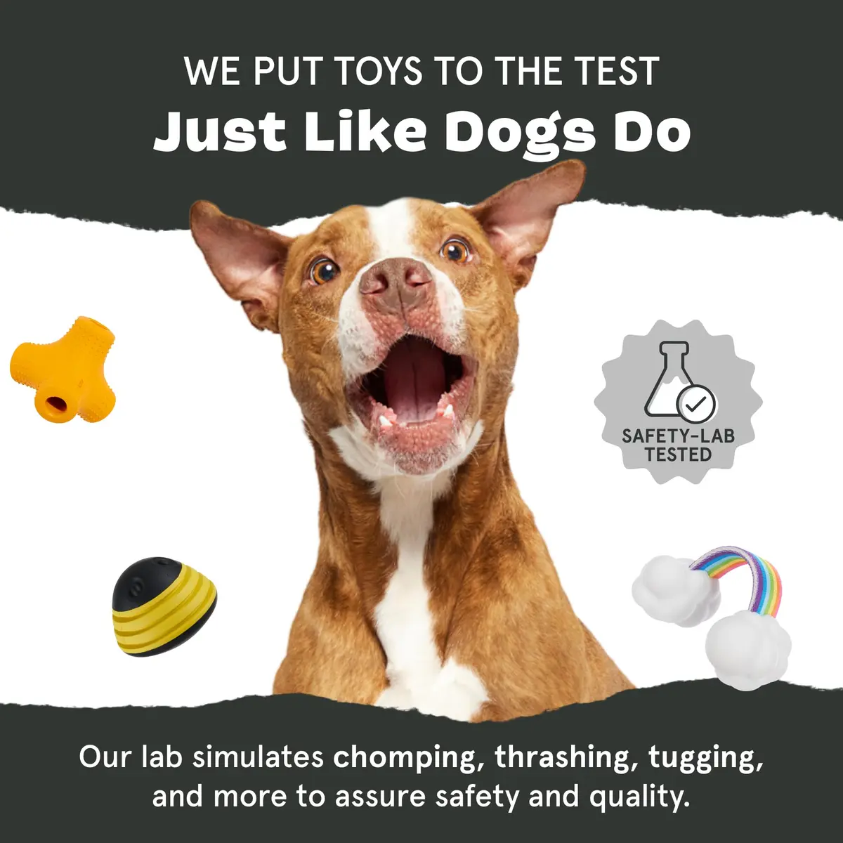 BarkBox Turkey Super Chewer - Toy for Large Dogs | Durable Chew Toy with Chicken Scent (Medium/Large) - view 7