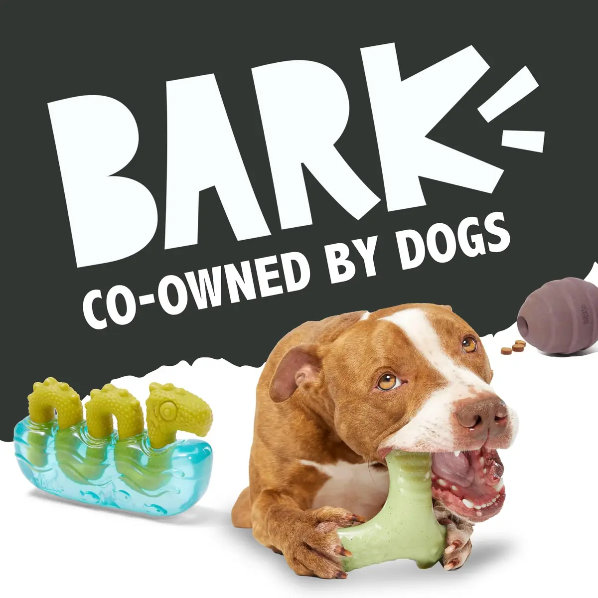 BarkBox Turkey Super Chewer - Toy for Large Dogs | Durable Chew Toy with Chicken Scent (Medium/Large) - view 8