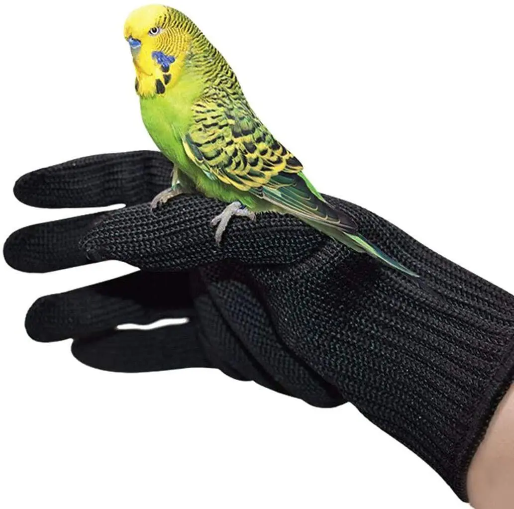 alfyng Bird Training Anti-Bite Gloves, Small Animal Handling Gloves, Chewing Protective Gloves for Small Animal Pet Squirrels Hamster Parrotlets Cockatiels Finch Macaw (1 Pair, Black) - main product image