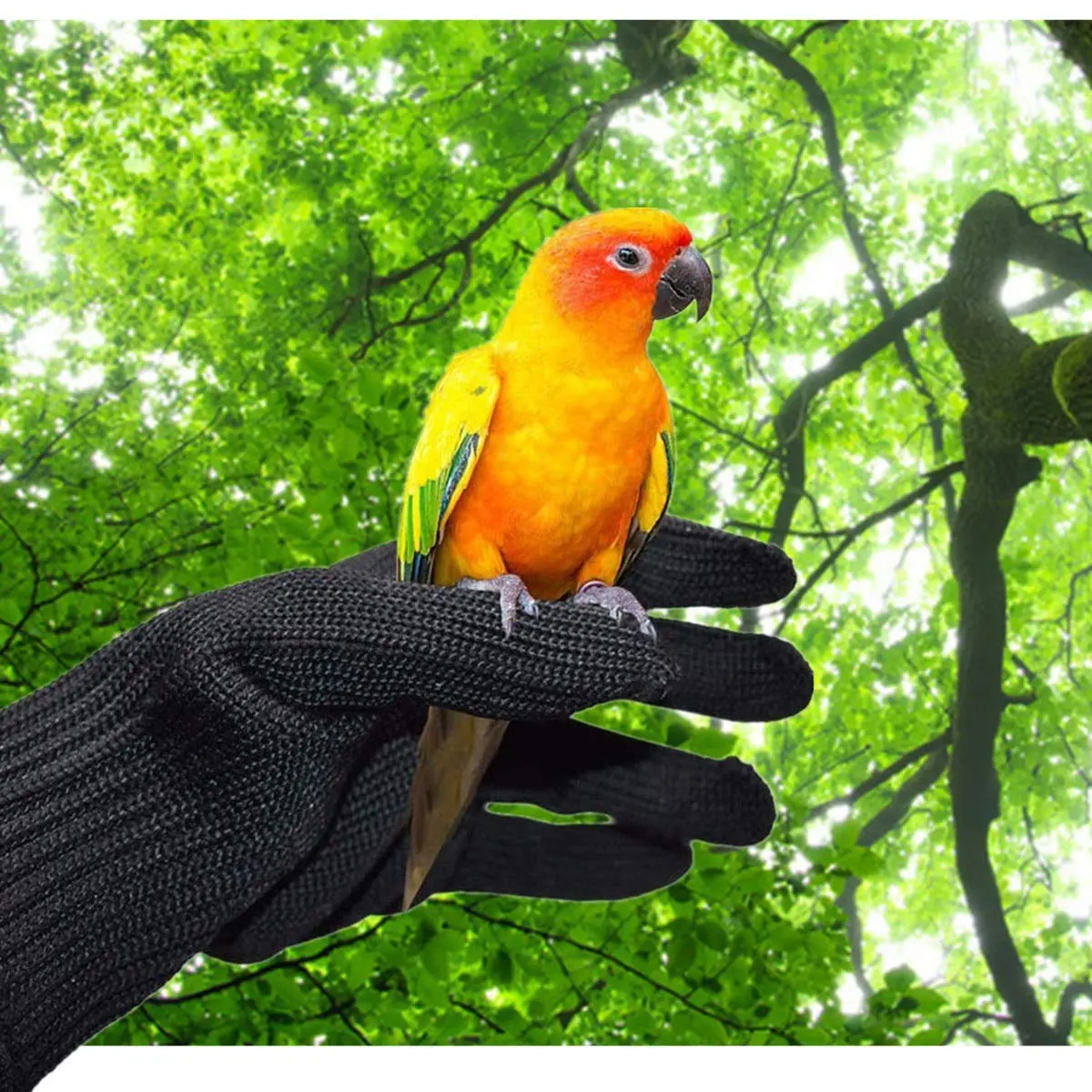 alfyng Bird Training Anti-Bite Gloves, Small Animal Handling Gloves, Chewing Protective Gloves for Small Animal Pet Squirrels Hamster Parrotlets Cockatiels Finch Macaw (1 Pair, Black) - view 7