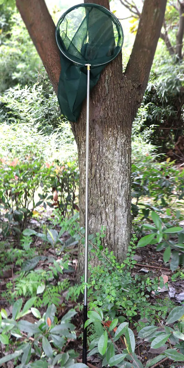 RESTCLOUD Professional Insect and Butterfly Net, 14" Ring, 59" Handle, Green | Extendable Bug Catching Tool - view 6