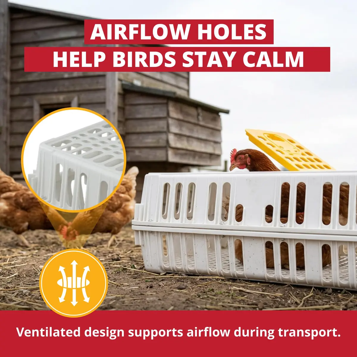Stromberg's Poultry Transport Crate, Secure Chicken Carrier | Durable Outdoor Bird Cage - view 5