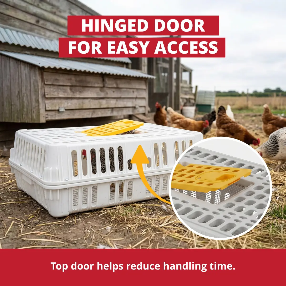 Stromberg's Poultry Transport Crate, Secure Chicken Carrier | Durable Outdoor Bird Cage - view 3
