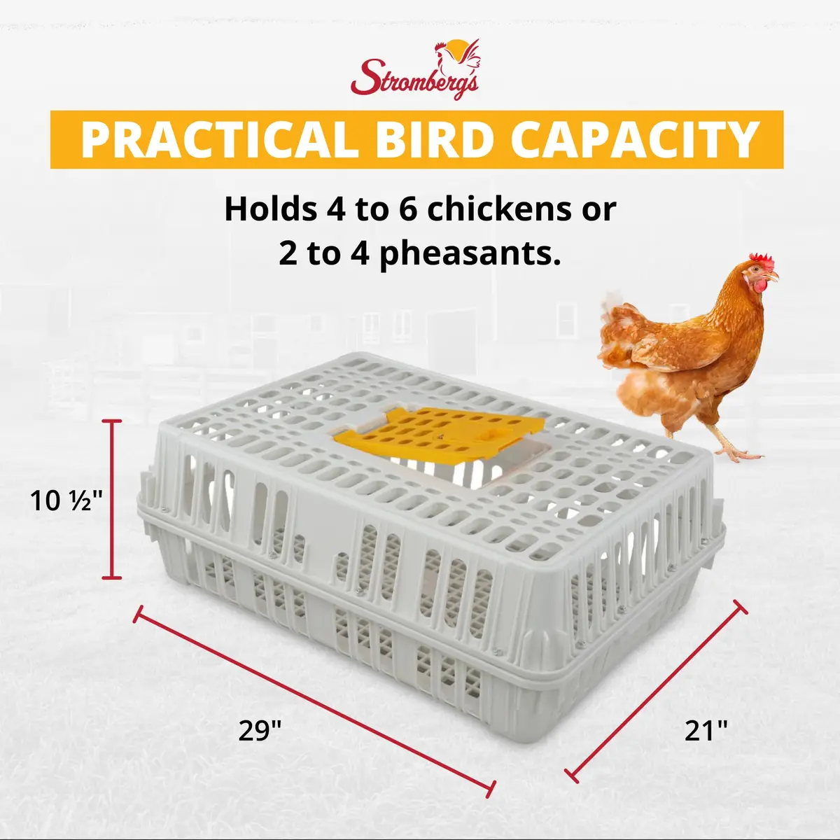Stromberg's Poultry Transport Crate, Secure Chicken Carrier | Durable Outdoor Bird Cage - view 4