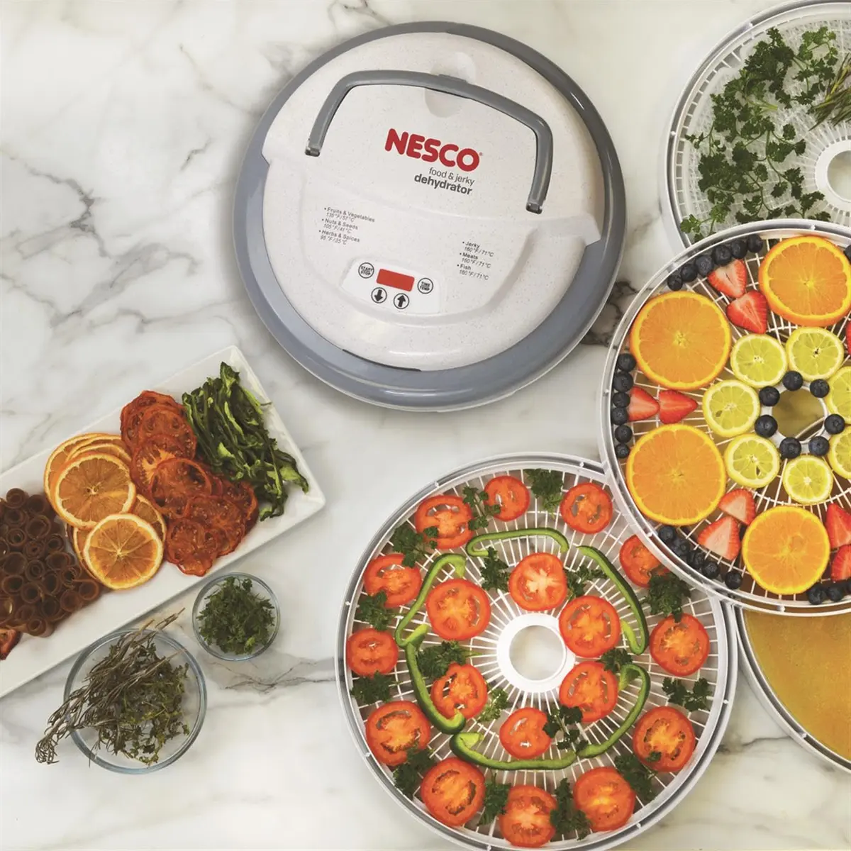 NESCO Food Dehydrator Digital 4 Trays | Even Heat, Expandable, USA Made - view 4