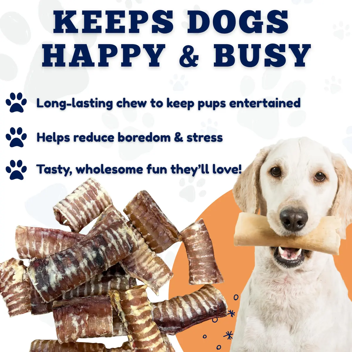 Amazing Dog Treats Beef Trachea Rings (3-4 Inch, 12 Count) | Supports Joint & Dental Health - view 6