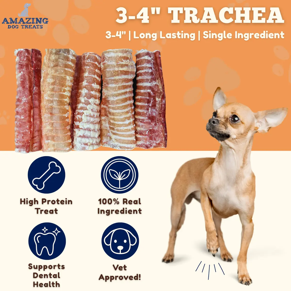 Amazing Dog Treats Beef Trachea Rings (3-4 Inch, 12 Count) | Supports Joint & Dental Health - view 2