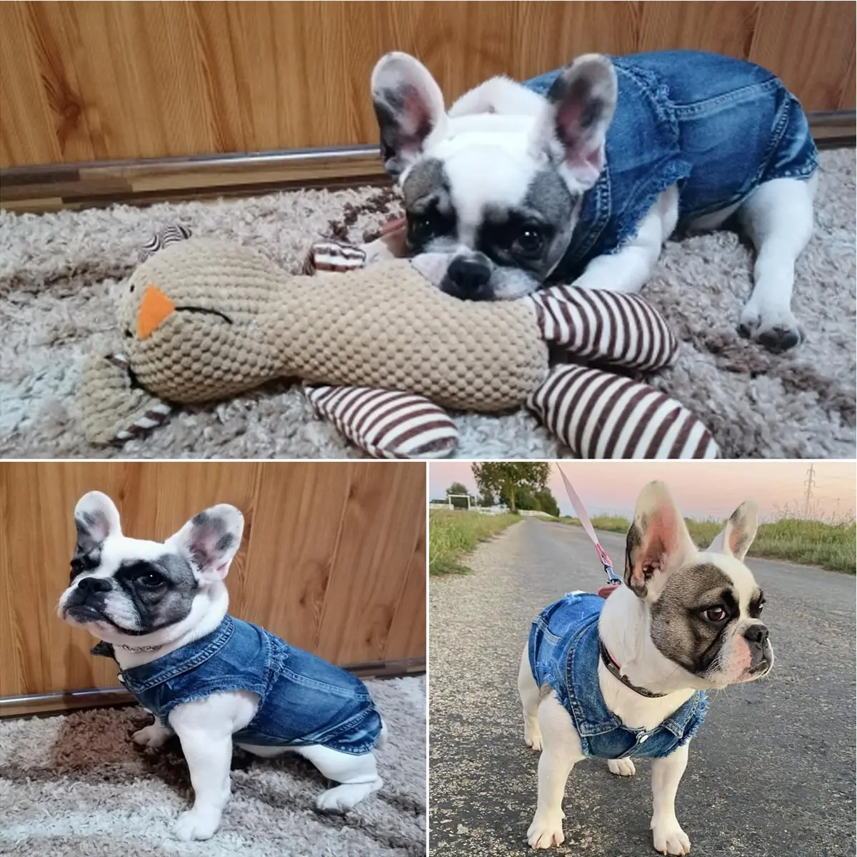Brocarp Dog Jeans Jacket Pet Denim Vest for Small Dogs & Puppies | Four-Season Comfort & Style - view 5