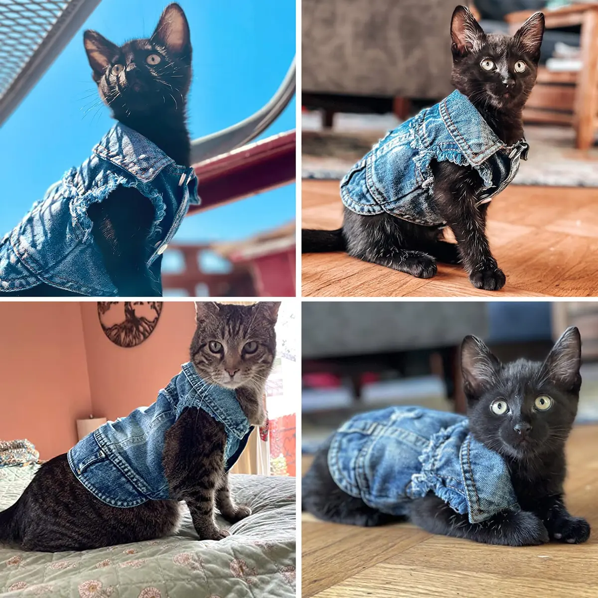 Brocarp Dog Jeans Jacket Pet Denim Vest for Small Dogs & Puppies | Four-Season Comfort & Style - view 8