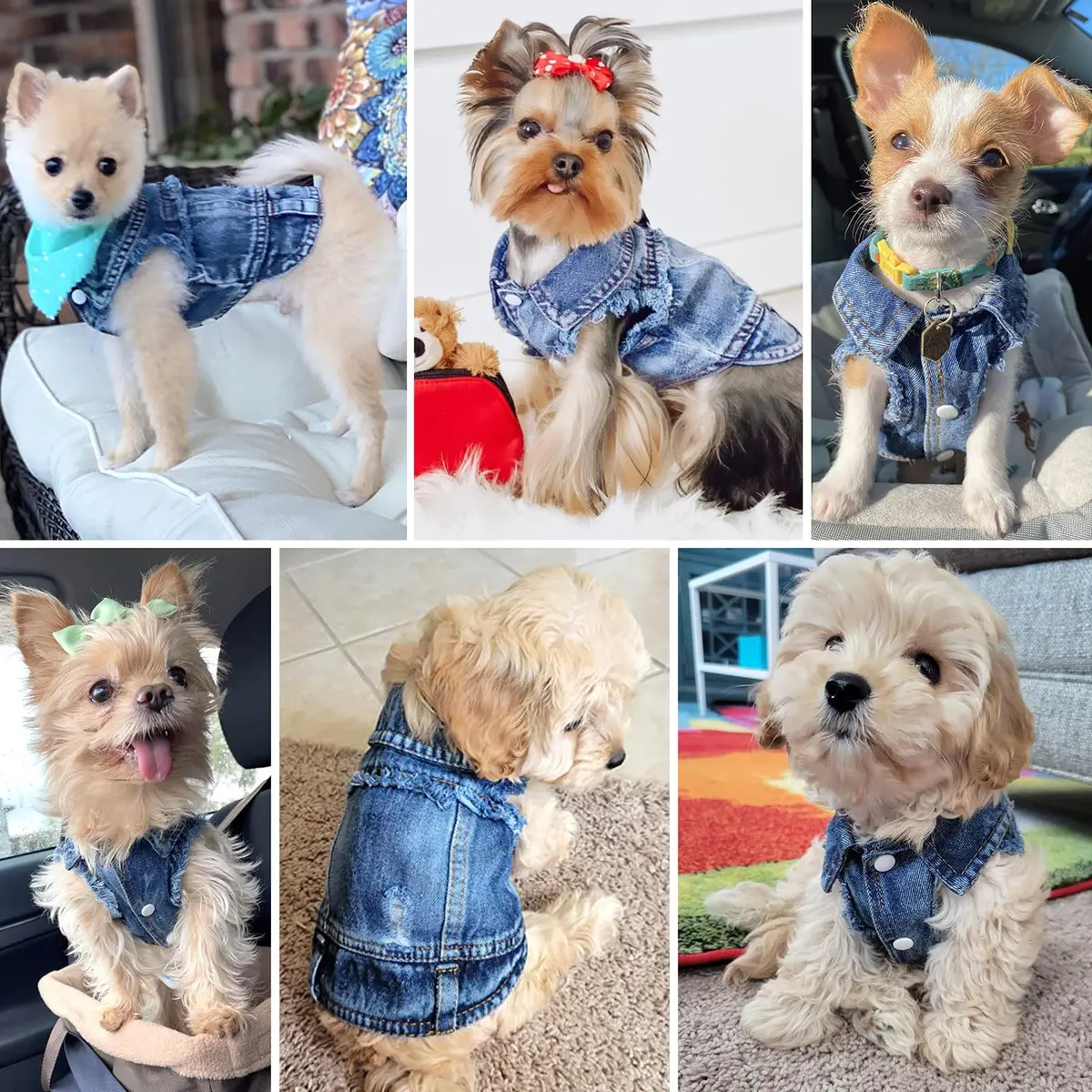 Brocarp Dog Jeans Jacket Pet Denim Vest for Small Dogs & Puppies | Four-Season Comfort & Style - view 4