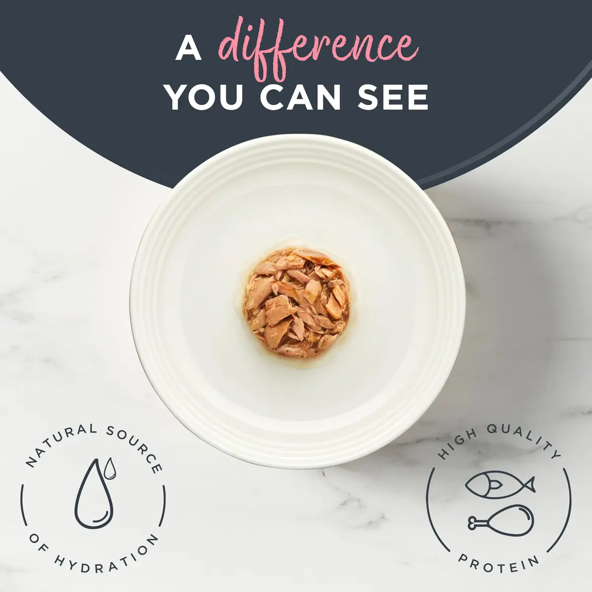 Reveal - Grain Free | Wet Canned Cat Food | 2.47oz (70g) x 24 | Natural, No Additives, Limited Ingredients - view 2
