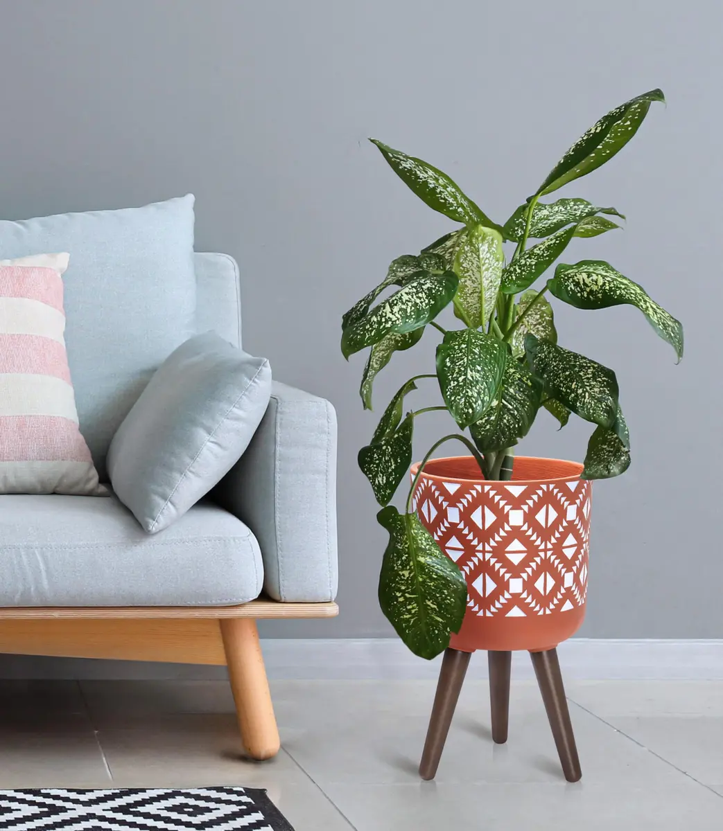 D'vine Dev Planter Pot with Wood Stand, 10 in, Terracotta/White | Mid-Century Modern Indoor Plant Display - view 6