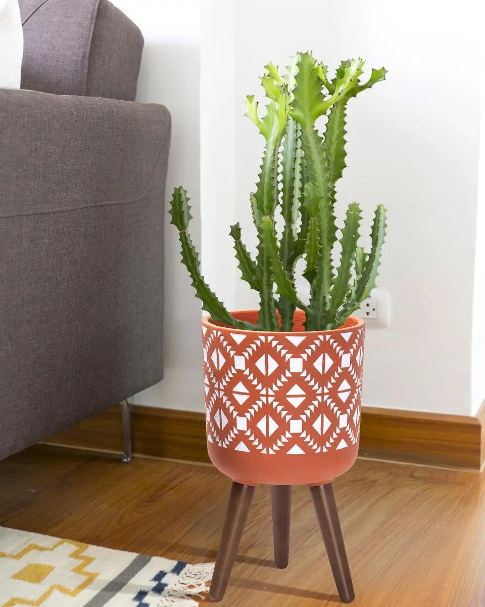 D'vine Dev Planter Pot with Wood Stand, 10 in, Terracotta/White | Mid-Century Modern Indoor Plant Display - view 2