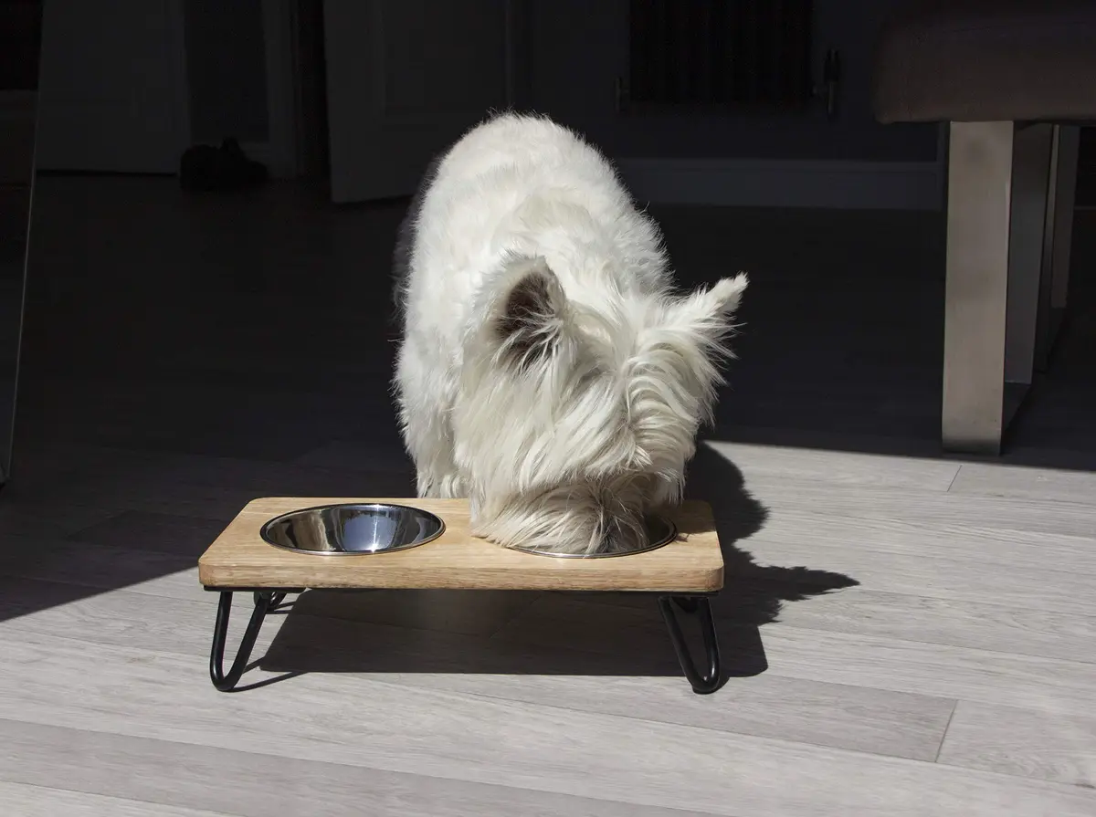 Rosewood Raised Wood Dog Bowl for Medium Dogs & Cats | Nordic Style Elevated Stand, Stainless Steel Bowls (Medium) - view 6