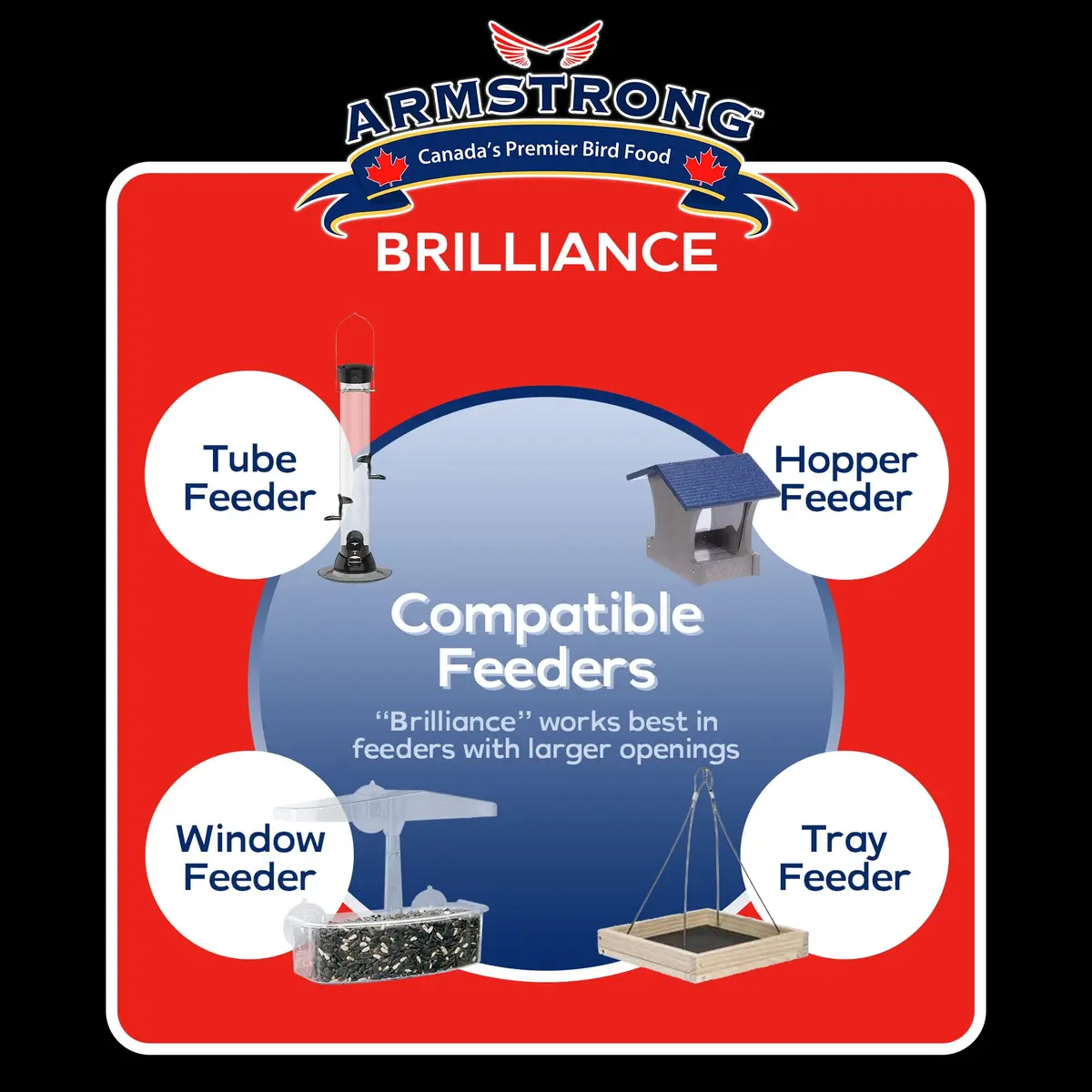 Armstrong Bird Food Royal Jubilee Brilliance Blend 4 lbs | Premium Wild Bird Seed for Northern Cardinals & Songbirds - view 5