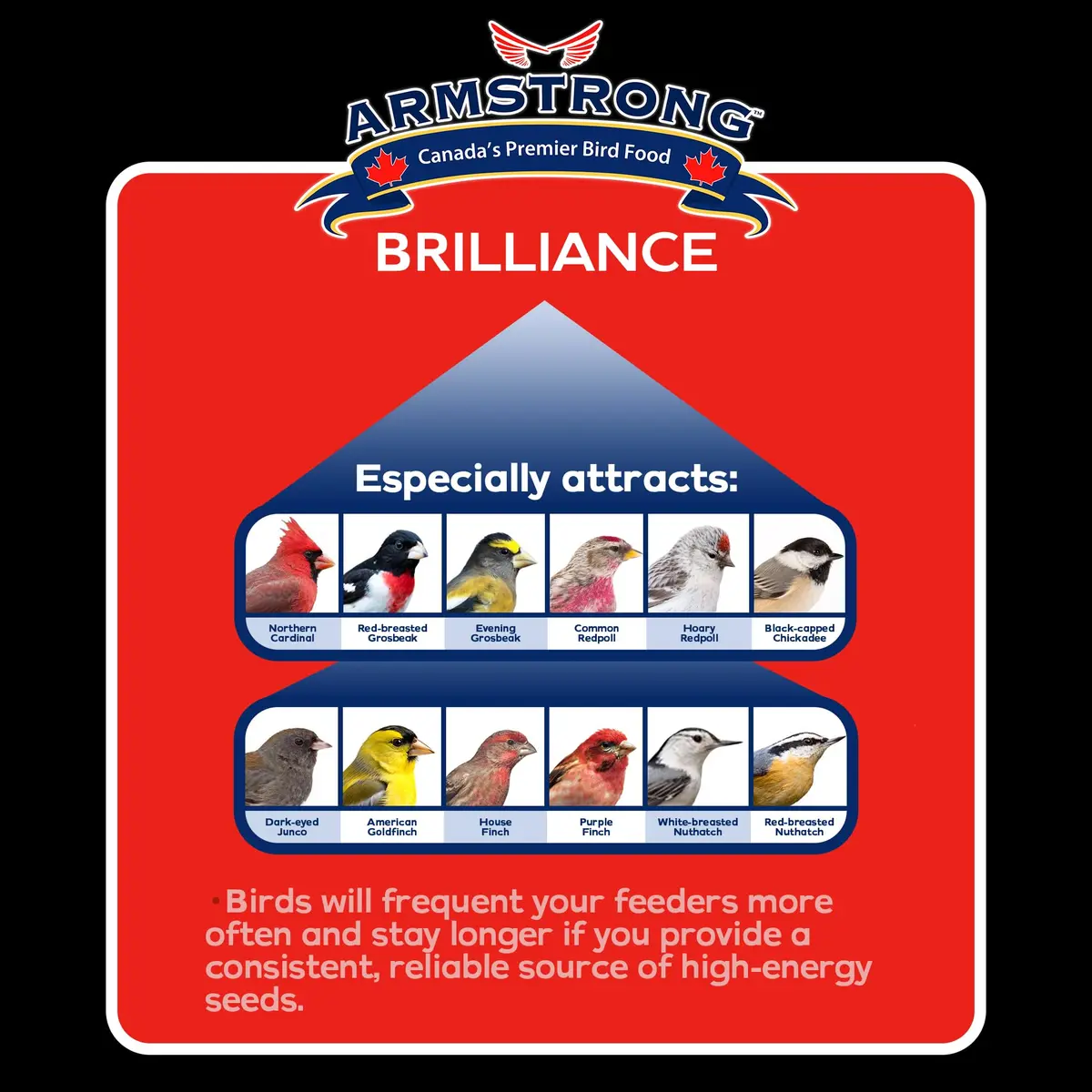 Armstrong Bird Food Royal Jubilee Brilliance Blend 4 lbs | Premium Wild Bird Seed for Northern Cardinals & Songbirds - view 3