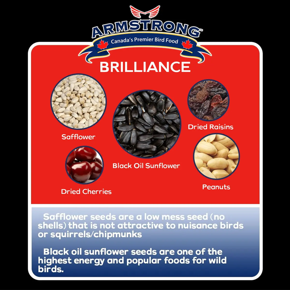 Armstrong Bird Food Royal Jubilee Brilliance Blend 4 lbs | Premium Wild Bird Seed for Northern Cardinals & Songbirds - view 4