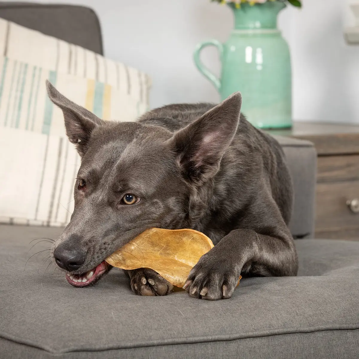 Wild Eats Water Buffalo Prime Bone Assortment Dog Chews 11 Pack, Grain Free | All Natural, Healthy & Grain Free Dog Treats - view 3