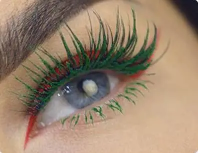 Maydear Dark Green Waterproof Mascara for Women's Eye Makeup | Volumizing & Lengthening - view 6
