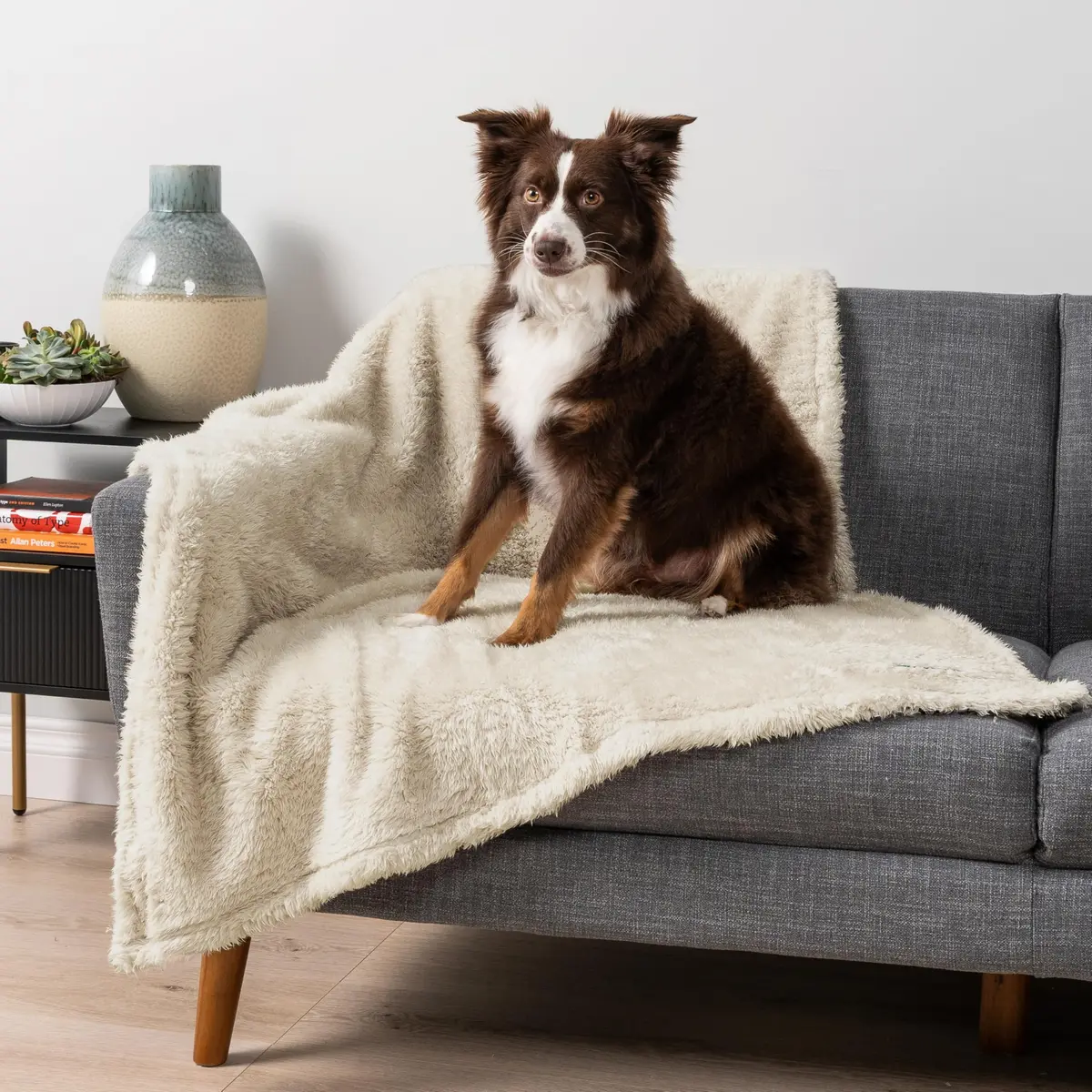 PetAmi Fluffy Sherpa Waterproof Dog Blanket 102x152 cm (40x60 inches) | Protects Furniture from Pet Messes - main product image