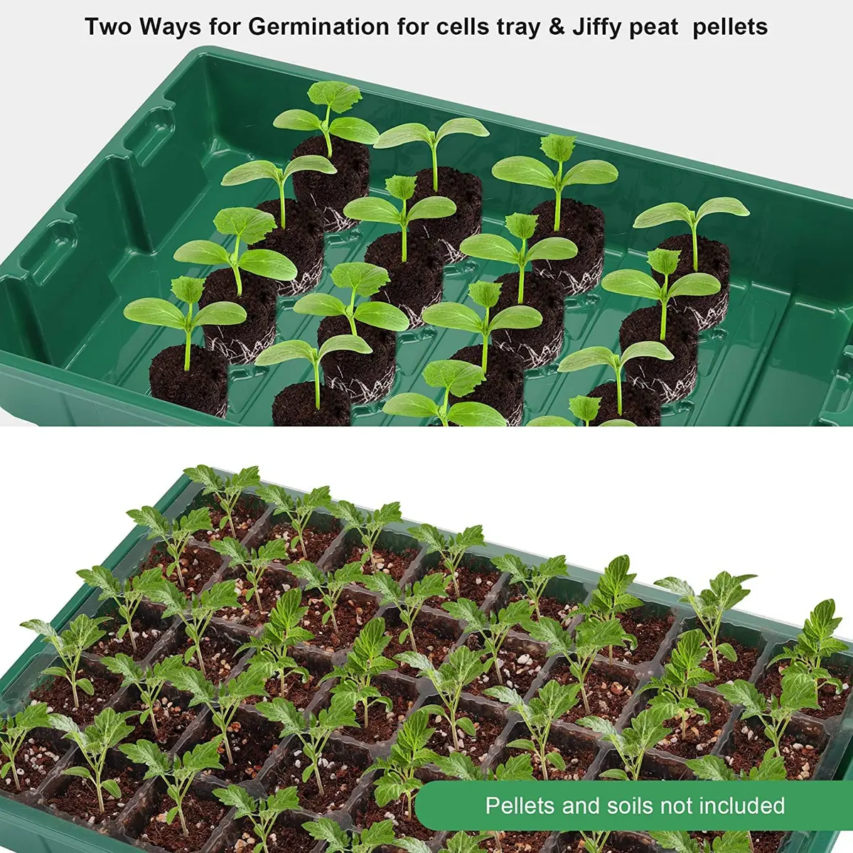 MIXC 5 Pack Seed Starter Tray, 40-Cell 5-Pack | Transparent Plastic Germination Kit for Indoor & Outdoor Gardening - view 2
