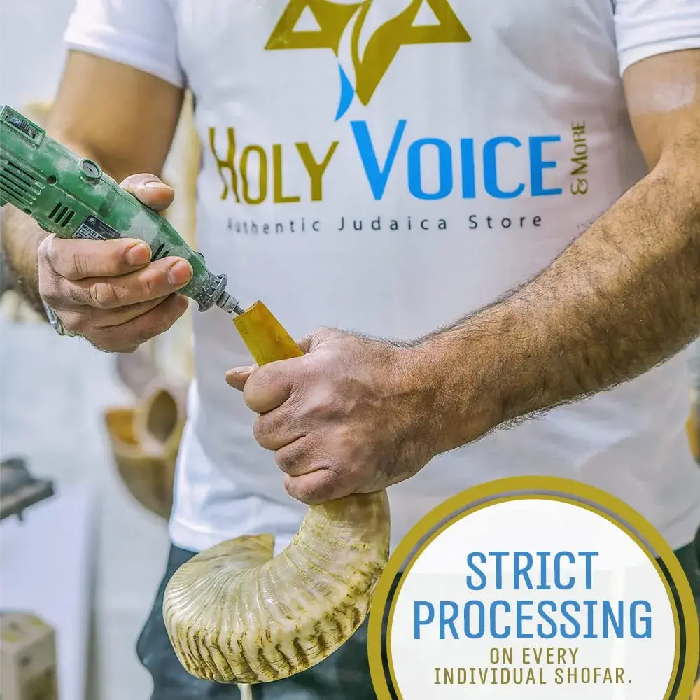 Holy Voice Kosher Ram Shofar Horn 50cm-55cm (20"-22") | Authentic Jewish Musical Instrument from Israel - view 2