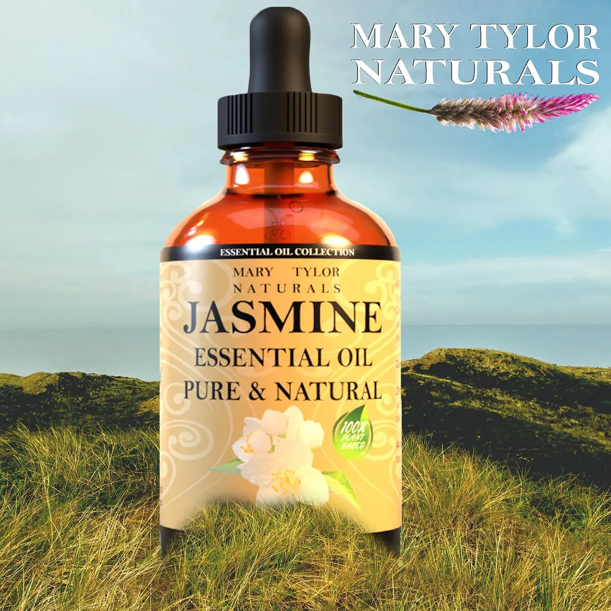 Mary Tylor Naturals Jasmine Essential Oil 30ml | Pure Therapeutic Grade Aromatherapy - view 4