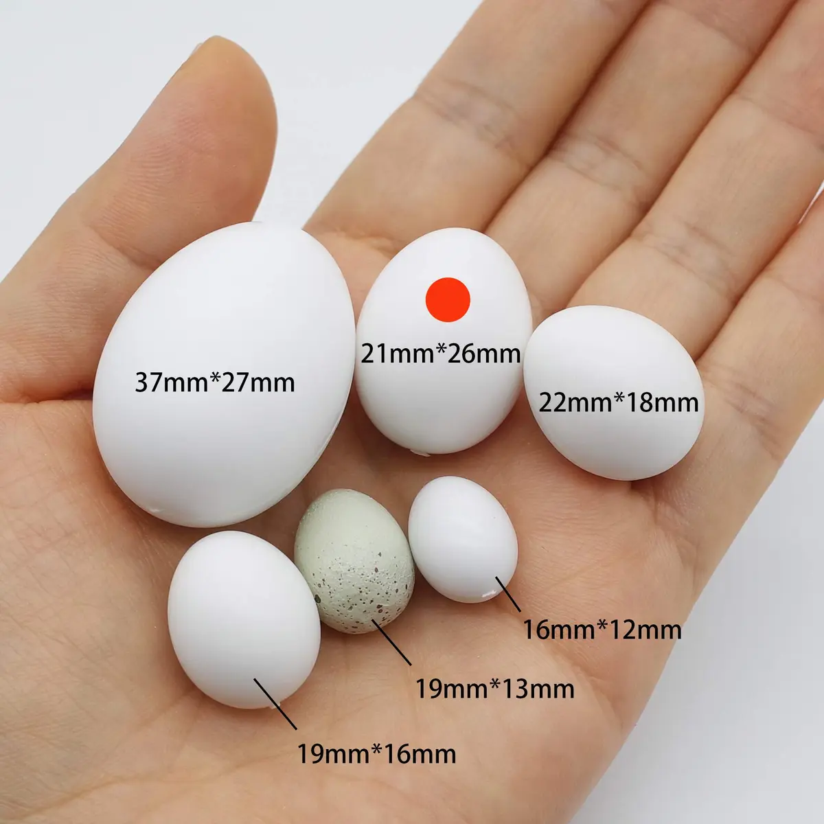 FOIBURELY Solid Parrot Plastic Eggs 8 Pcs | 26mm (1") x 21mm (0.83") - view 4