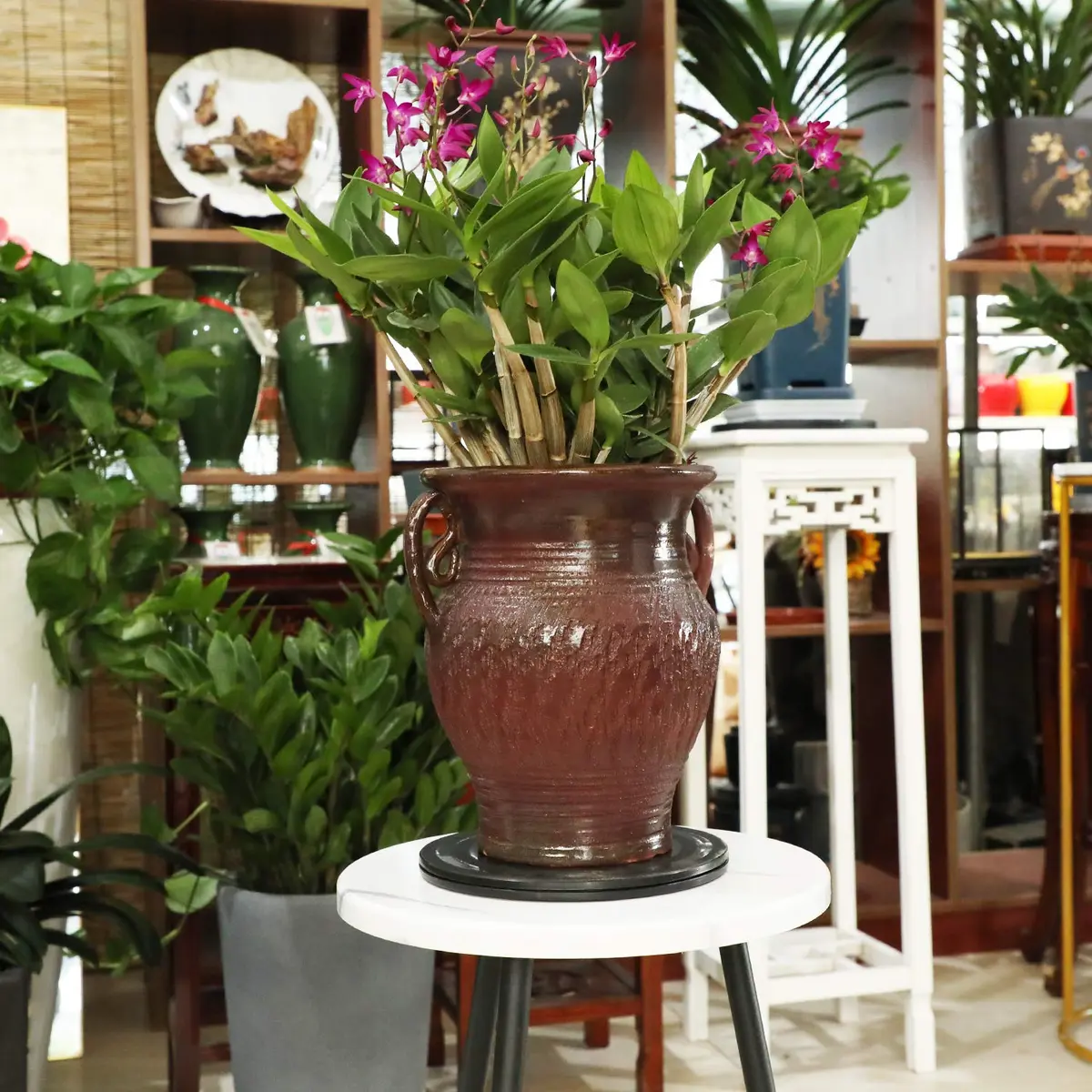 ZELARMAN 8" (20.32 cm) Heavy Duty Rotating Garden Swivel Stand | Smooth 360° Rotation for Bonsai Trimming & Display - view 6