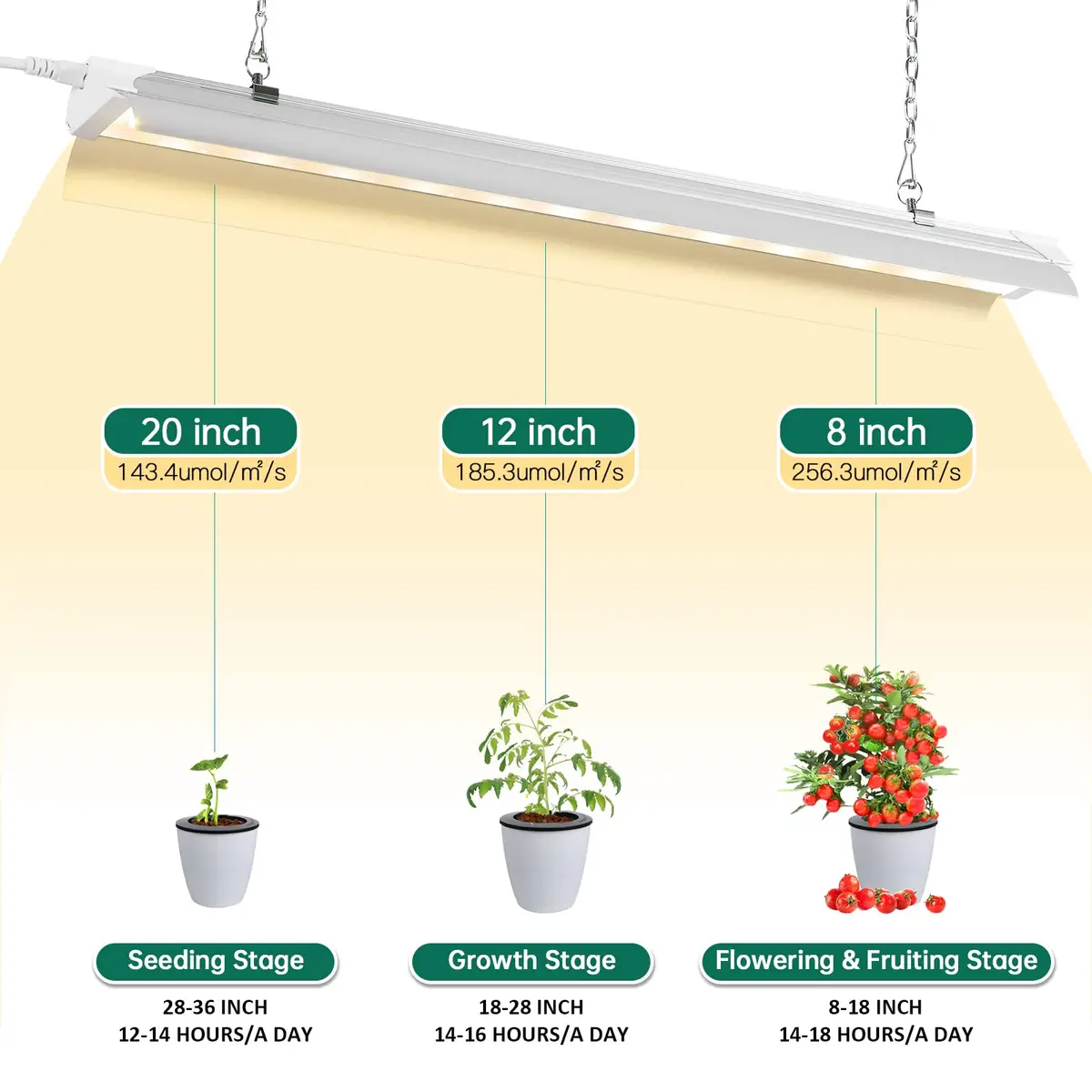SZHLUX Grow Light 4FT 140W | Full Spectrum Indoor Plant Light, Linkable, 4 Connected Max, 2-Year Warranty - view 3