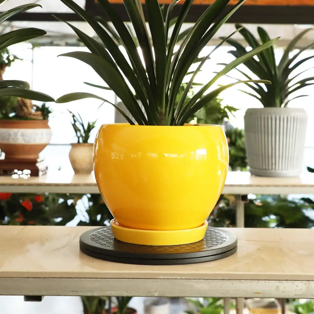 ZELARMAN Heavy Duty Rotating Garden Swivel Stand 30cm (12 Inch) | For Easy Trimming and Displaying Potted Plants - view 4